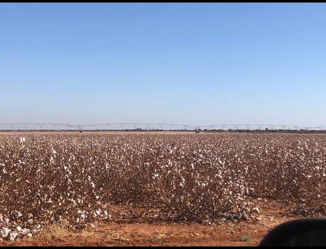 FARM FOR SALE IN THABAZIMBI